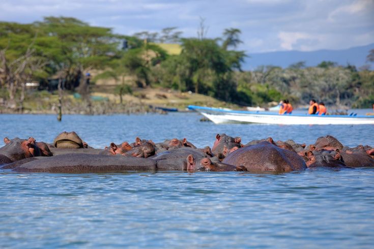 Lake Naivasha